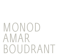 Monod Amar Boudrant - Association d'avocats